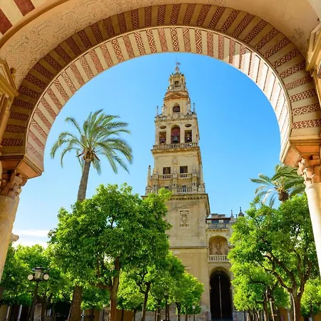 公寓 Atico A 1 Minuto De La Mezquita-catedral *